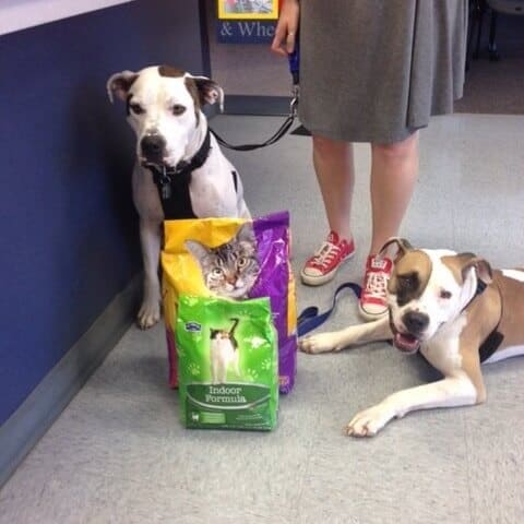 Pet Food Program Meals on Wheels Waco